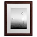 Trademark Fine Art Flying by Moises Levy 16 x 20 White Matted Wood Frame (ALI1093-W1620MF)