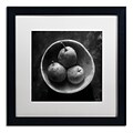 Trademark Fine Art Circulo de Peras by Moises Levy 16 x 16 White Matted Black Frame (ALI1102-B1616MF)