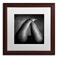 Trademark Fine Art Peras Tiernas by Moises Levy 16 x 16 White Matted Wood Frame (ALI1104-W1616MF)