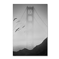 Trademark Fine Art Golden Gate Pier and Birds I by Moises Levy 12 x 19 Canvas Art (ALI1112-C1219GG)