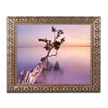 Trademark Fine Art Water Tree XI by Moises Levy 11 x 14 Ornate Frame (ALI1127-G1114F)