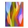 Trademark Fine Art Dappled Light 3 by Amy Vangsgard 35 x 47 Canvas Art (AV0101-C3547GG)