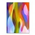 Trademark Fine Art Dappled Light 4 by Amy Vangsgard  14 x 19 Canvas Art (AV0102-C1419GG)