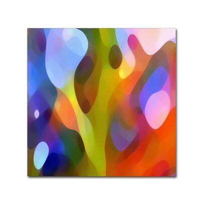Trademark Fine Art Dappled Light 15 by Amy Vangsgard  35 x 35 Canvas Art (AV0109-C3535GG)