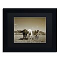 Trademark Fine Art Three Horses by Preston 11 x 14 Black Matted Black Frame (EM0513-B1114BMF)