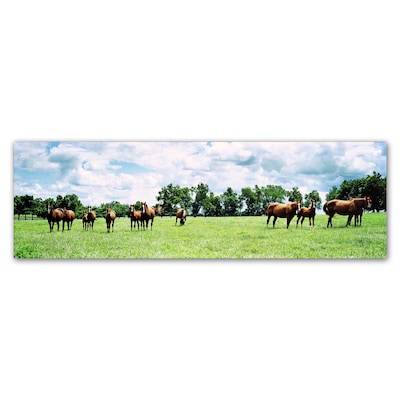 Trademark Fine Art Kentucky Horse 5 by Preston 16 x 47 Canvas Art (EM0534-C1647GG)