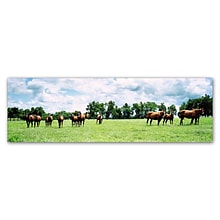 Trademark Fine Art Kentucky Horse 5 by Preston 16 x 47 Canvas Art (EM0534-C1647GG)