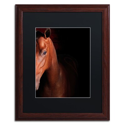 Trademark Fine Art Kentucky horse Intense by Preston 16 x 20 Black Matted Wood Frame (EM0535-W