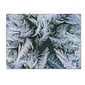 Trademark Fine Art ''Frost at Zero Degrees'' by Kurt Shaffer 24" x 32" Canvas Art (KS01069-C2432GG)