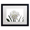 Trademark Fine Art Paper White Bouquet by Kurt Shaffer 16 x 20 White Matted Black Frame (KS01076-B1620MF)