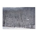Trademark Fine Art Quiet Heavy Snowfall by Kurt Shaffer 30 x 47 Canvas Art (KS01086-C3047GG)