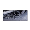 Trademark Fine Art Fabulous Frost by Kurt Shaffer 14 x 32 Canvas Art (KS01092-C1432GG)