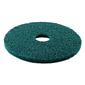 Premier Scrubbing Floor Machine Pad, Green, 13", 5/Case