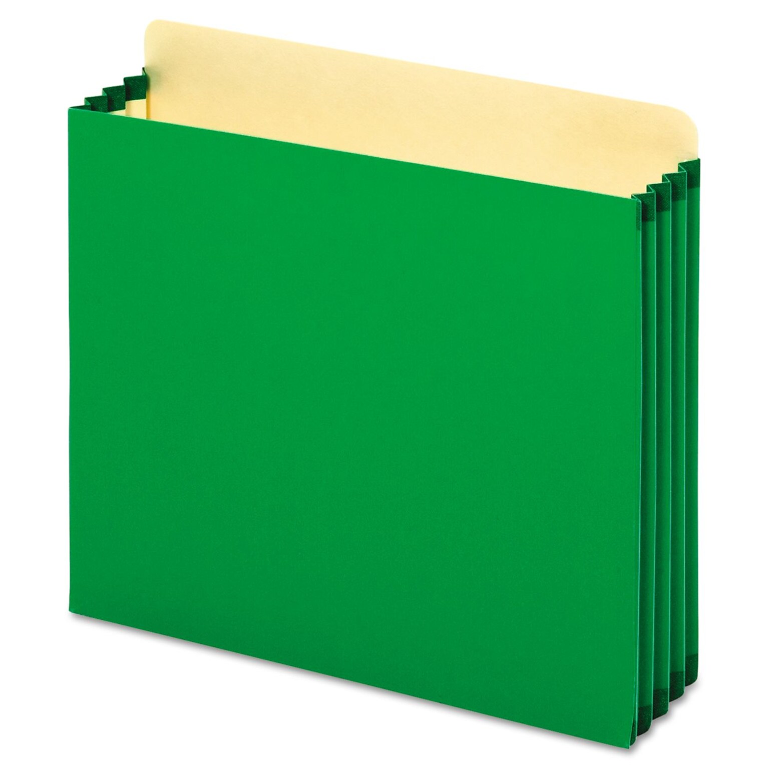 Pendaflex Reinforced File Pocket, 3 1/2 Expansion, Letter Size, Green (FC1524P GRE)