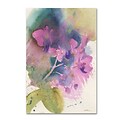 Trademark Fine Art Orchid Dream by Sheila Golden 12 x 19 Canvas Art (SG5738-C1219GG)