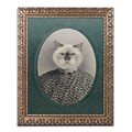 Trademark Fine Art Cat #1 by J Hovenstine Studios, 16 x 20 Ornate Frame (ALI1330-G1620F)