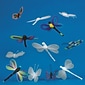 S&S® Color-Me™ Dragonfly and Butterfly Activity