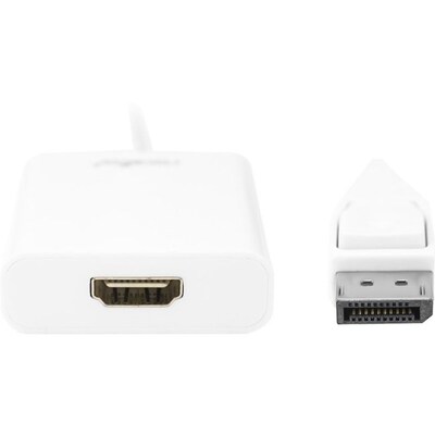 Rocstor (Y10A101-W1) DisplayPort/HDMI Male/