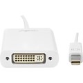 Rocstor (Y10A103-W1) 5.9 Mini DisplayPort/DVI-I Male/Female Video Cable; White