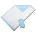 Protection Plus® Fluff-filled Underpads, Blue, 24 L x 23 W, Standard, 200/Pack 5/Bag, 5/Pack