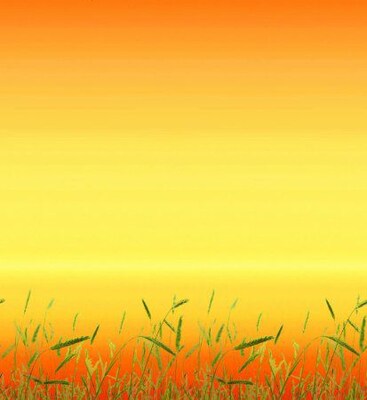 Pacon® Fadeless® Designs Paper; Prairie Grass, 48 x 12 Film Wrapped