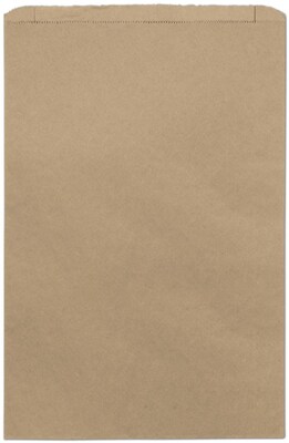 Bags & Bows® 14 x 3 x 21 Paper Merchandise Bags, 500/Pack (55-14321-8)