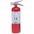Kidde 466728 I Fire Extinguisher, 5 lbs.