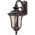 Aurora Lighting A19 Outdoor Wall Sconce Lamp (STL-VME284650)