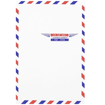 JAM Paper® 6 x 9 Airmail Open End Catalog Envelopes, White, 100/Pack (1430743C)