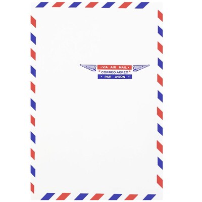 JAM Paper® 6 x 9 Airmail Open End Catalog Envelopes, White, 100/Pack (1430743C)