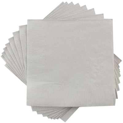 JAM Paper Beverage Napkin, 2-ply, Silver, 50 Napkins/Pack (255628826)