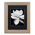 Trademark Fine Art Magnolia by Michael Harrison 11 x 14 Black Matted Wood Frame (886511838628)
