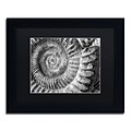 Trademark Fine Art Amonita 1 by Moises Levy 11 x 14 Black Matted Black Frame (886511869431)