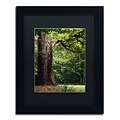 Trademark Fine Art The old Trunk by Philippe Sainte-Laudy 11 x 14 Black Matted Black Frame (886511799264)