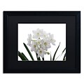 Trademark Fine Art Paper White Bouquet by Kurt Shaffer 16 x 20 Black Matted Black Frame (886511821767)
