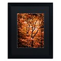Trademark Fine Art Autumn Whispers by Philippe Sainte-Laudy 16 x 20 Black Matted Black Frame (886511795983)
