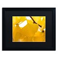 Trademark Fine Art Ginkgo Drops by Philippe Sainte-Laudy 16 x 20 Black Matted Black Frame (886511796881)