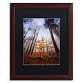 Trademark Fine Art Sentinel by Philippe Sainte-Laudy 16 x 20 Black Matted Wood Frame (886511798854)