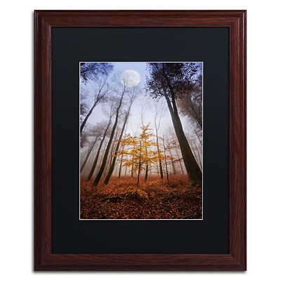 Trademark Fine Art Sentinel by Philippe Sainte-Laudy 16 x 20 Black Matted Wood Frame (886511798854)