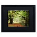 Trademark Fine Art Through the Woods by Philippe Sainte-Laudy 16 x 20 Black Matted Black Frame (886511799486)