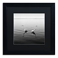 Trademark Fine Art 2 Herons by Moises Levy 16 x 16 Black Matted Black Frame (886511873339)