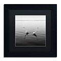 Trademark Fine Art 2 Herons by Moises Levy 11 x 11 Black Matted Black Frame (886511873315)