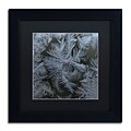Trademark Fine Art Frost Star by Kurt Shaffer 11 x 11 Black Matted Black Frame (886511821583)