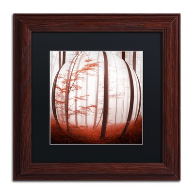 Trademark Fine Art Autumn to Burn by Philippe Sainte-Laudy 11 x 11 Black Matted Wood Frame (886511795945)