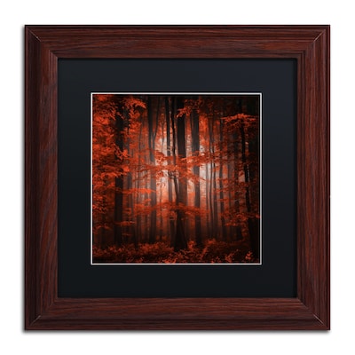 Trademark Fine Art Red Parallel Universe by Philippe Sainte-Laudy 11 x 11 Black Matted Wood Frame (886511798342)
