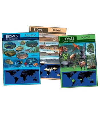 Mark Twain Habitat Bulletin Board Set