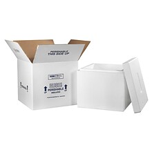 16.75 (L) x 16.75 (W) x 15 (H) Insulated Shipping Containers, White, Each (249C)