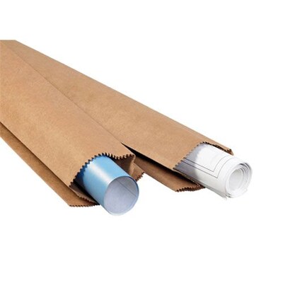 6 x 3 1/2 x 45 - Staples Kraft Bag, 100/Case