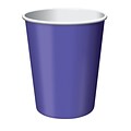 Creative Converting Purple Hot/Cold Drink Cups, 24/Pack