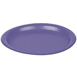 Creative Converting Paper Purple 7 Round Luncheon Plates, 24 Pack (79115B)